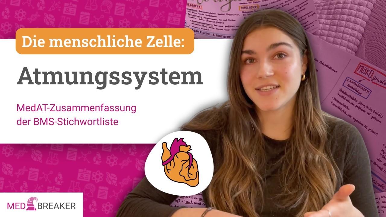 Atmungssystem - Der menschliche Körper | MedAT-Zusammenfassung der BMS-Stichwortliste