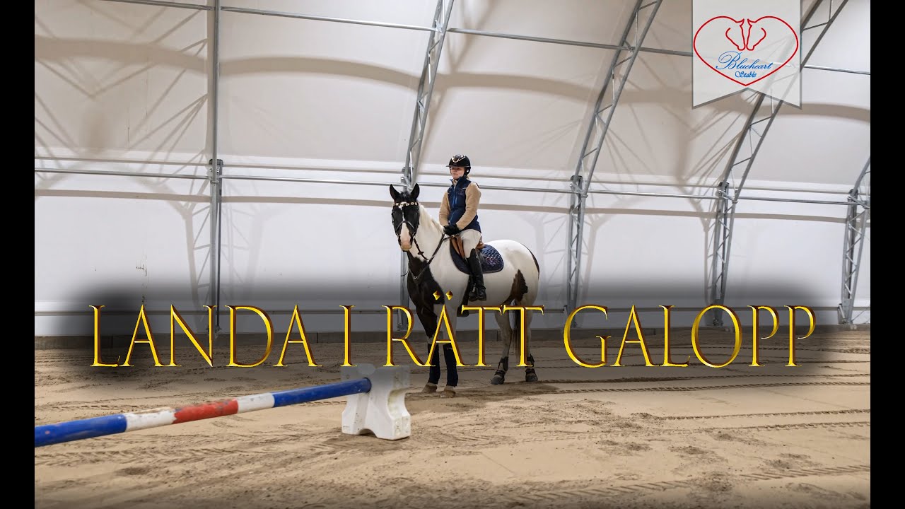 S01|A12 - Landa i rätt galopp | Blueheart digital clinic