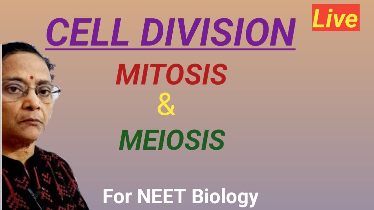 Cell Division - Mitosis & Meiosis