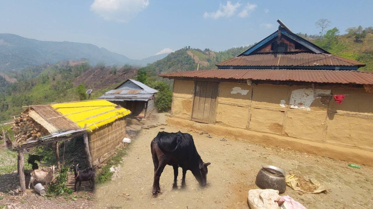 Walk & Explore With Local Explore- Outstanding View of Mountain Village