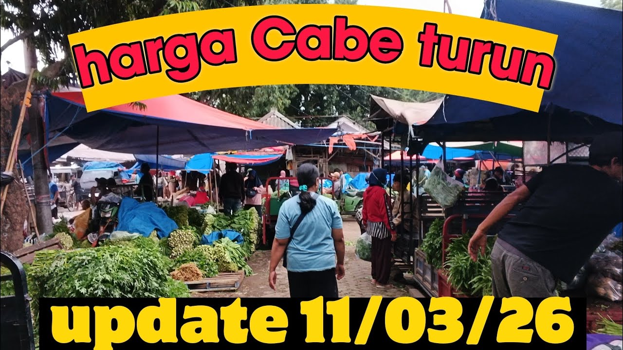 Harga Cabe hari ini update harga Sayuran terbaru pasar grosir ngronggo kota kediri 11/03/26