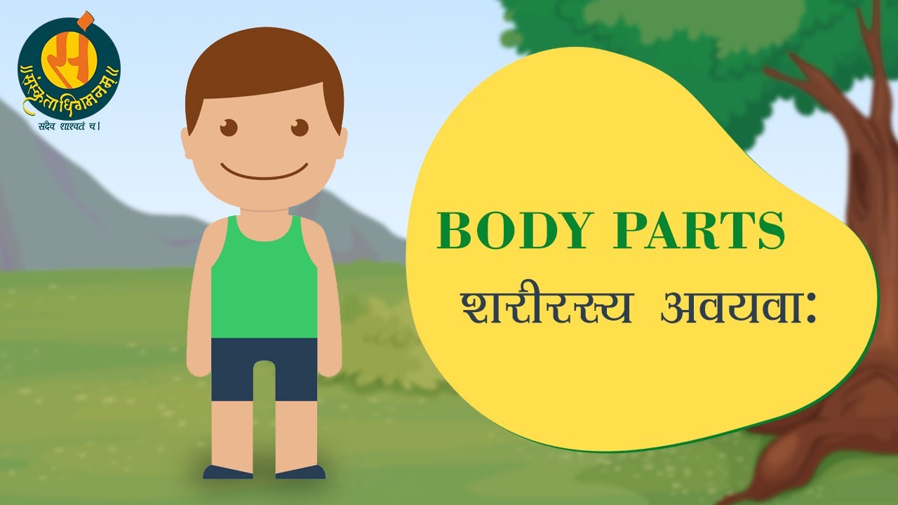 मम शरीरम् / शरीर अवयवा: / मम अङ्गानि / My Body Parts in Sanskrit / My Body #samskritadhigamanam