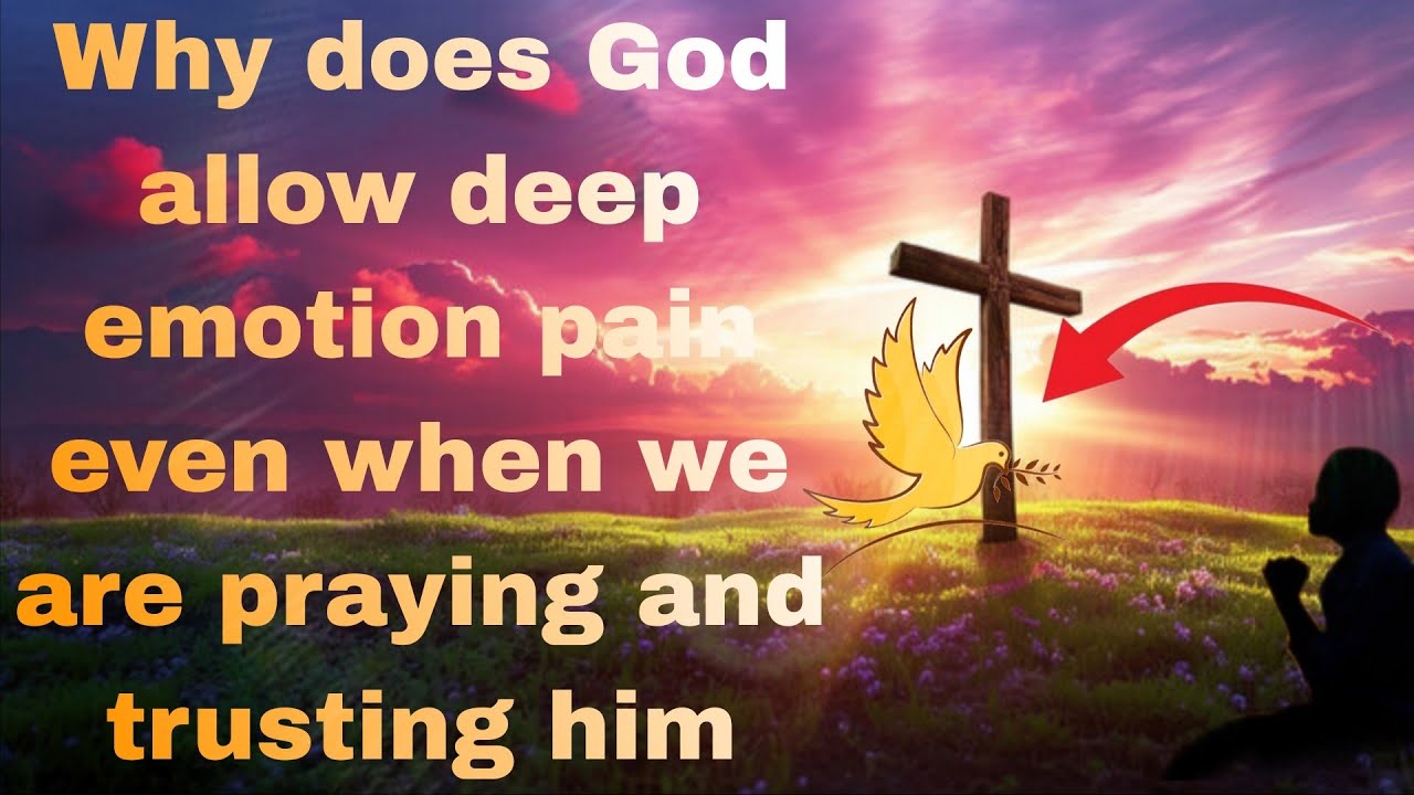 Tested The Science Behind Divine Healing#bible #bible verse 