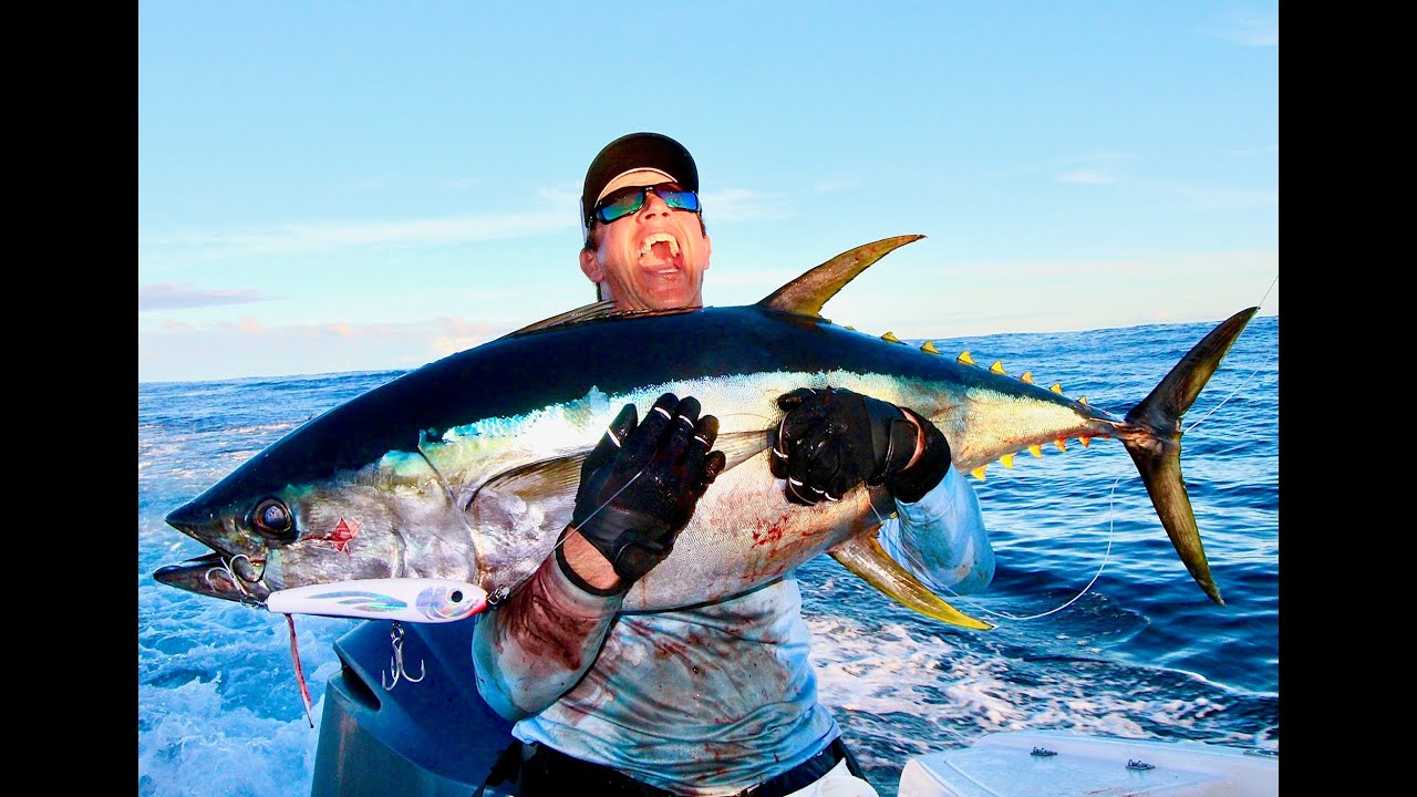 FISHING TOPWATER for YELLOW FIN TUNA
