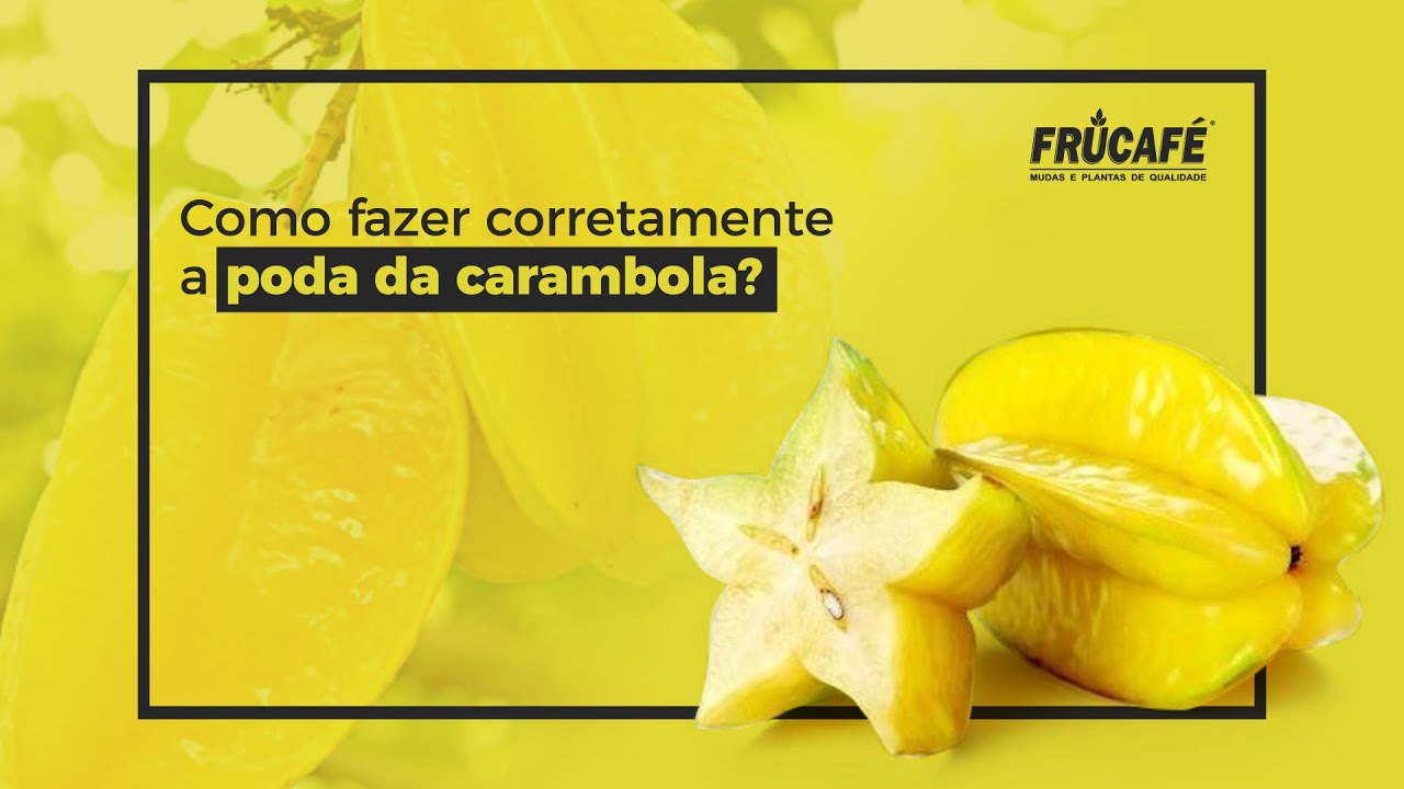Como Fazer a Poda de Produção na Carambola?