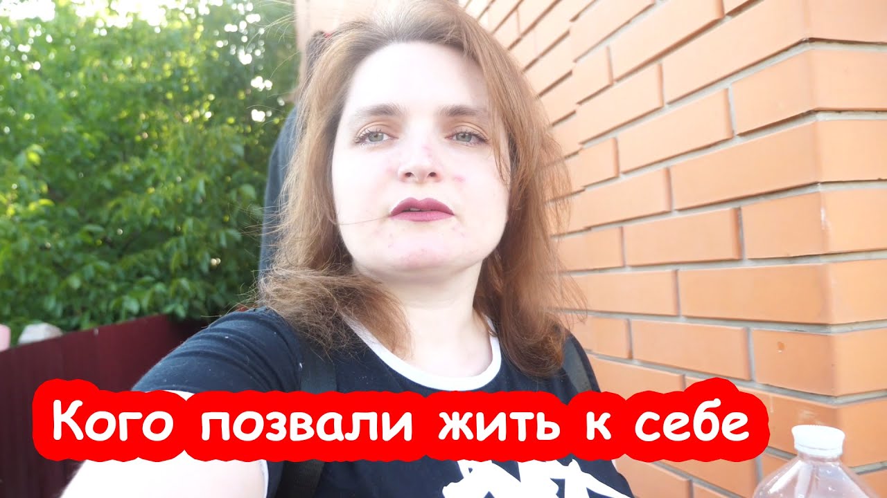 VLOG Плюс новый член семьи
