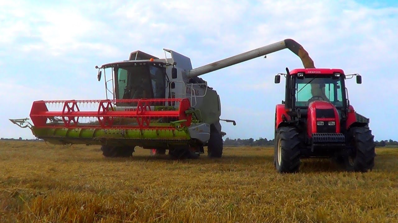Żniwa pszenne 2012 | CLAAS LEXION 640, Arion 630, Zetor Forterra 11441, 5340, Valtra n101