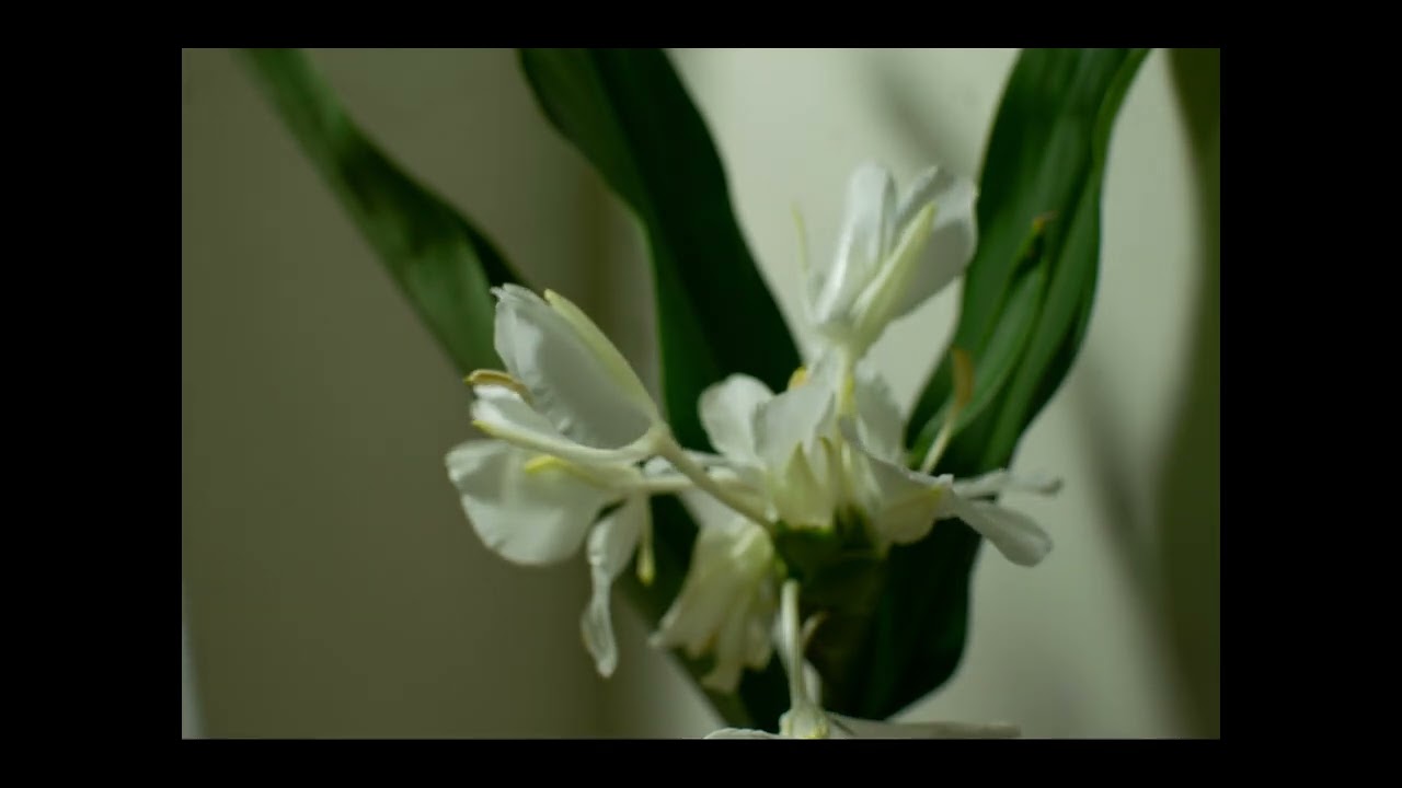 [honder's縮時日記] 2022.11.10~2022.12.03