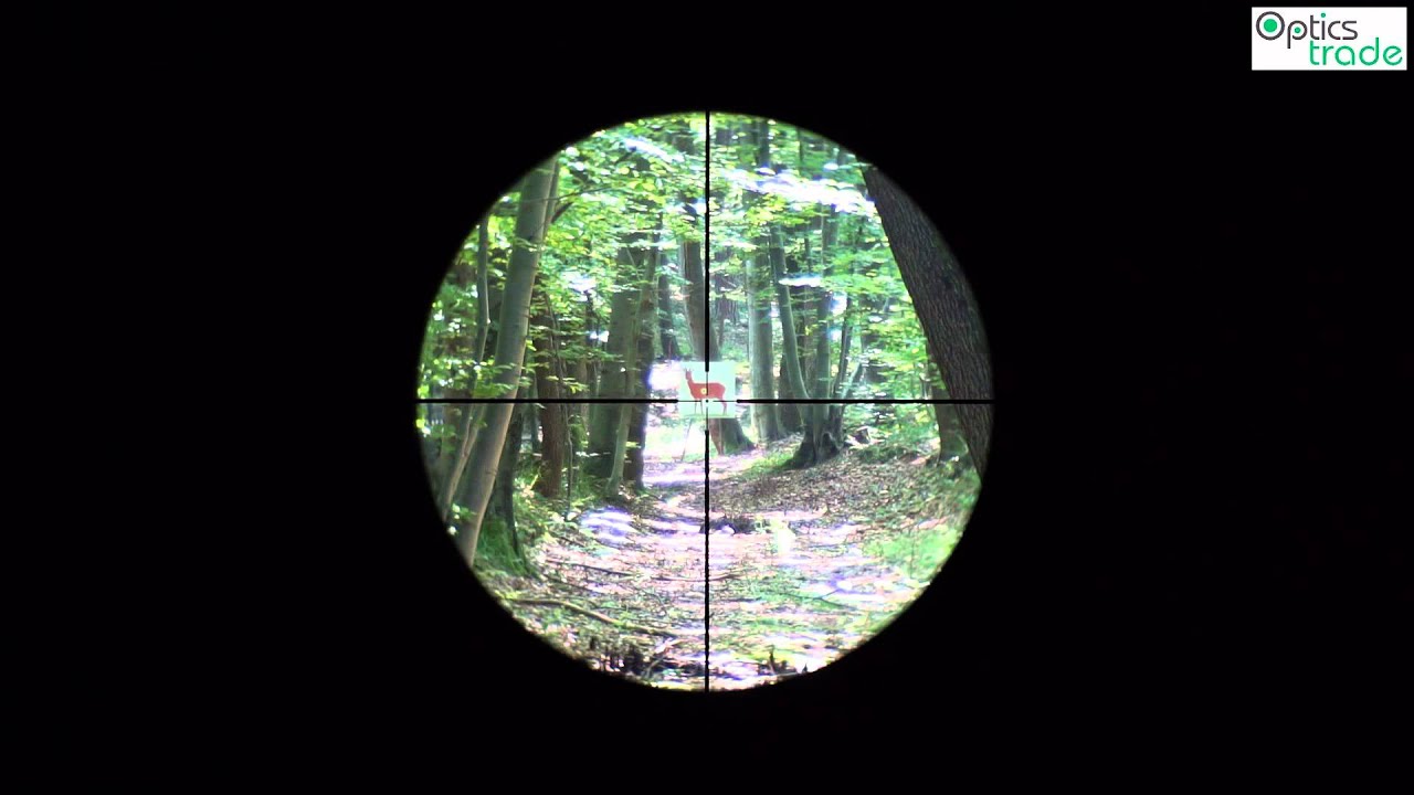 Vortex Crossfire II 1-4x24 reticle V-brite | Reticle Subtensions