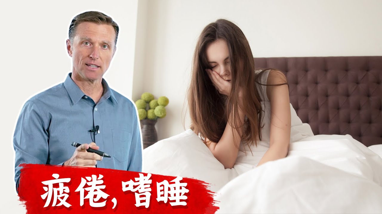 (睡眠6) 睡了還是累5原因,白天嗜睡! 睡不飽,柏格醫生 Dr Berg