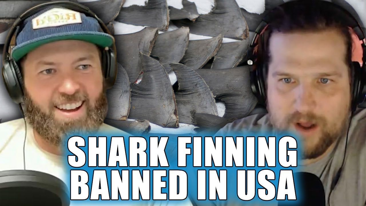 Shark Finning FINALLY Gets Banned in The USA
