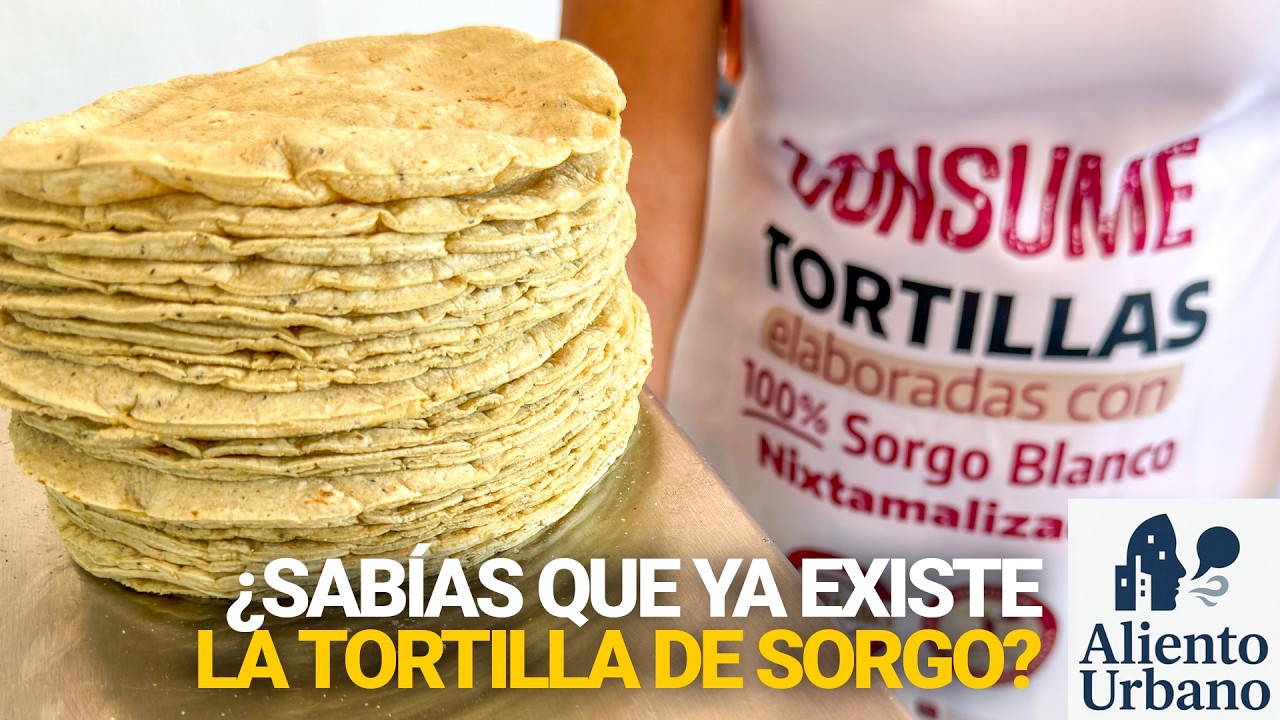 🌾 ¿Sabías que ya existe la tortilla de sorgo?