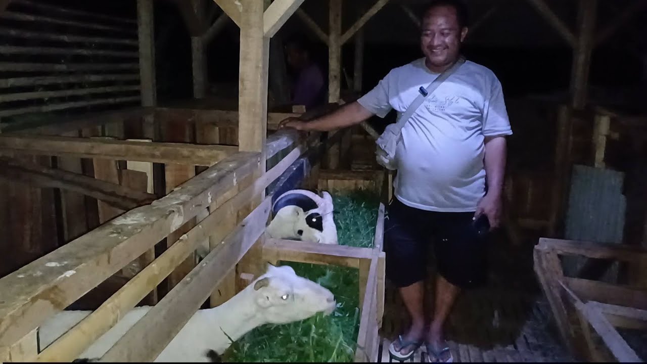 PENGIRIMAN JAJALON & DARAAN KE JATIWARAS TASIKMALAYA