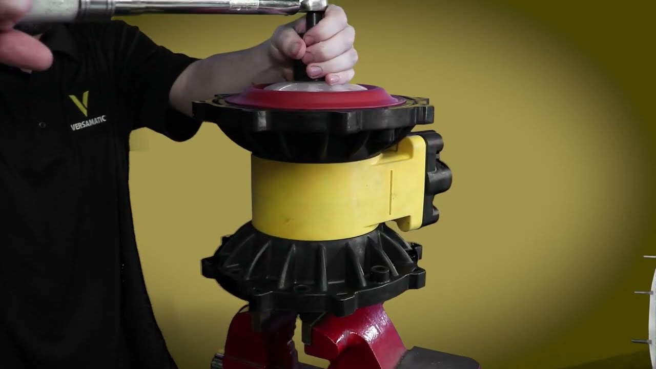 Full Service Video | Versamatic Valor AODD Pump