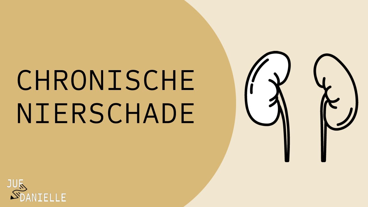 Chronische Nierschade