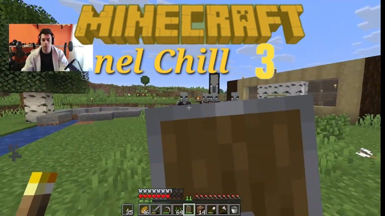 Alziamo delle mura per la nostra difesa! E loro?! Minecraft nel Chill ITA EP.3 S1