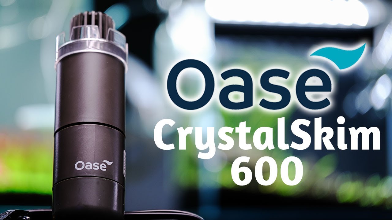 Oase Crystal Skim 600 - Yüzey Temizleme Canavarı 😍