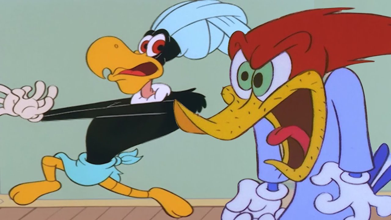 Woody Has Roommate Trouble  | Woody Woodpecker