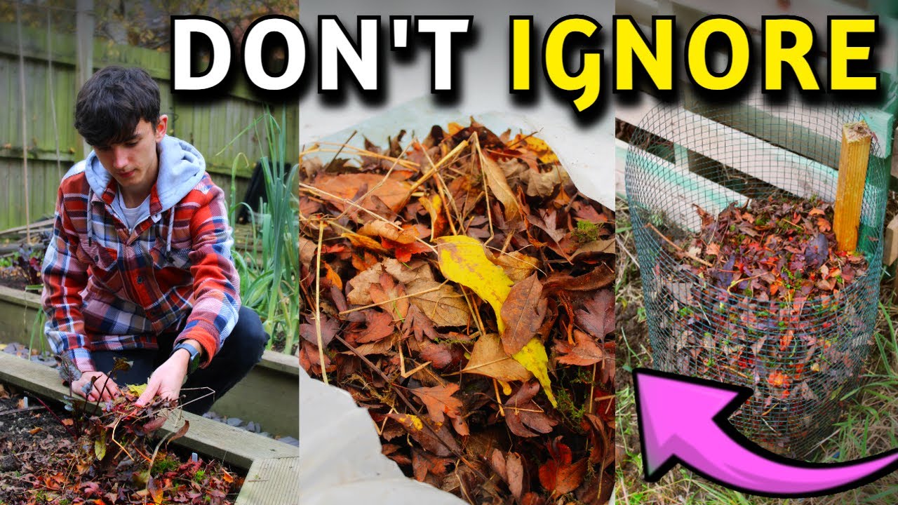 3 CLEVER Ways To Use LEAVES In Your Garden
