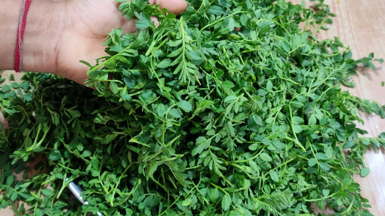 अगर ऐसे बनाओगे चने का साग तो हर घर में आप ही की तारीफ होगी। chane ka saag recipe in hindi