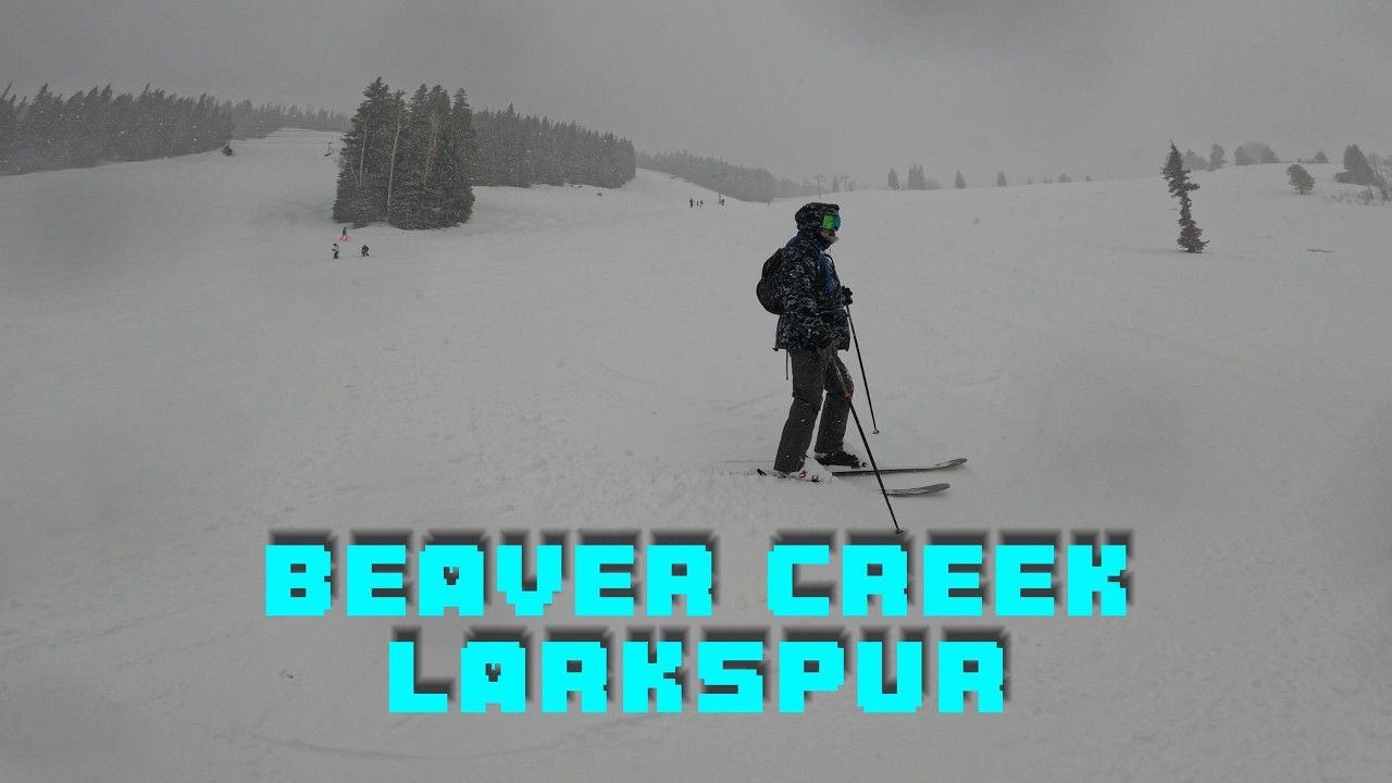 Beaver Creek Larkspur