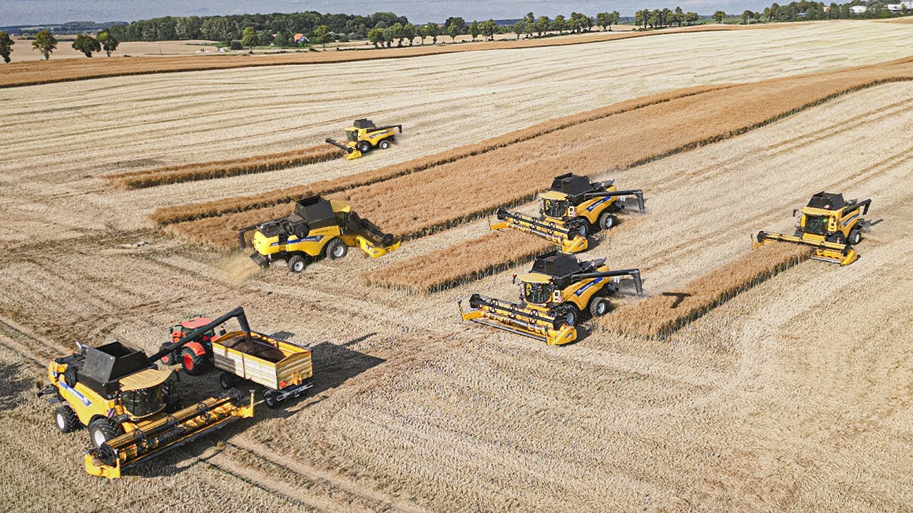 ✮RZEPAK NA 6 KOMBAJNÓW! | ✔150ha w 1 DZIEŃ ✮ Wielkie Żniwa 2023 ✮ 6x NH CX 8.90✮