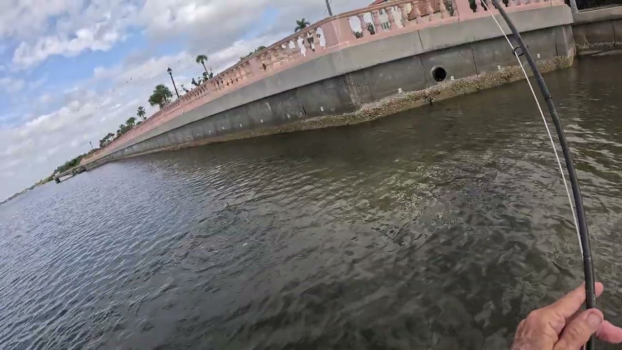 another winer snook