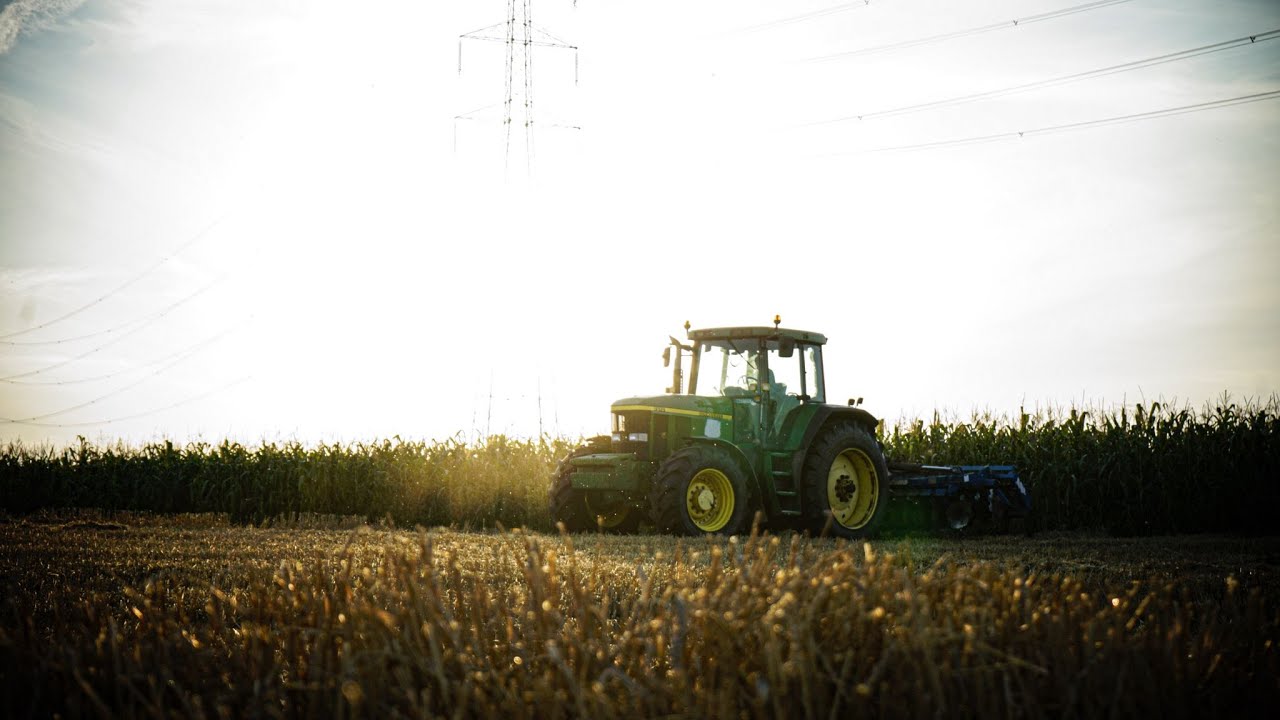 ㋛︎WIECZORNE Talerzowanie Ryczącą BESTIĄ?!㋛︎John Deere 7810 o Zachodzie Słońca!㋛︎Engine Sound㋛︎