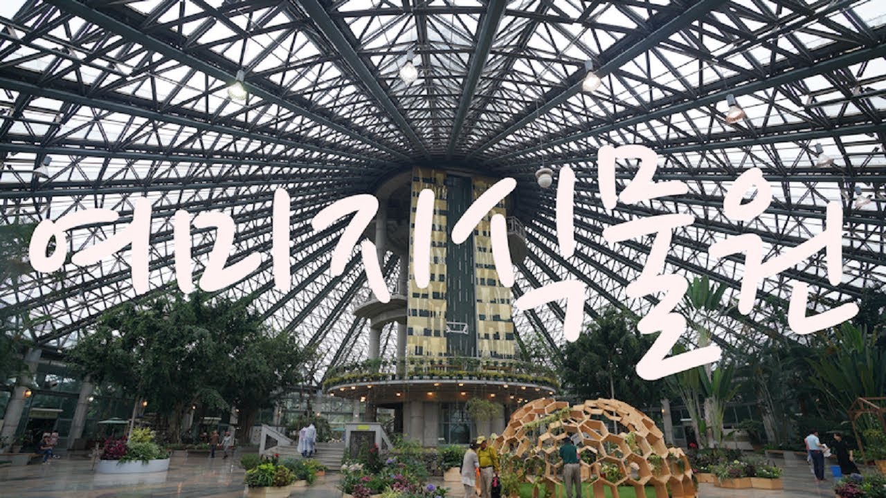여미지식물원, 제주 비오는날 실내 실외 여행지 추천 장소, Yeomiji Botanic Garden