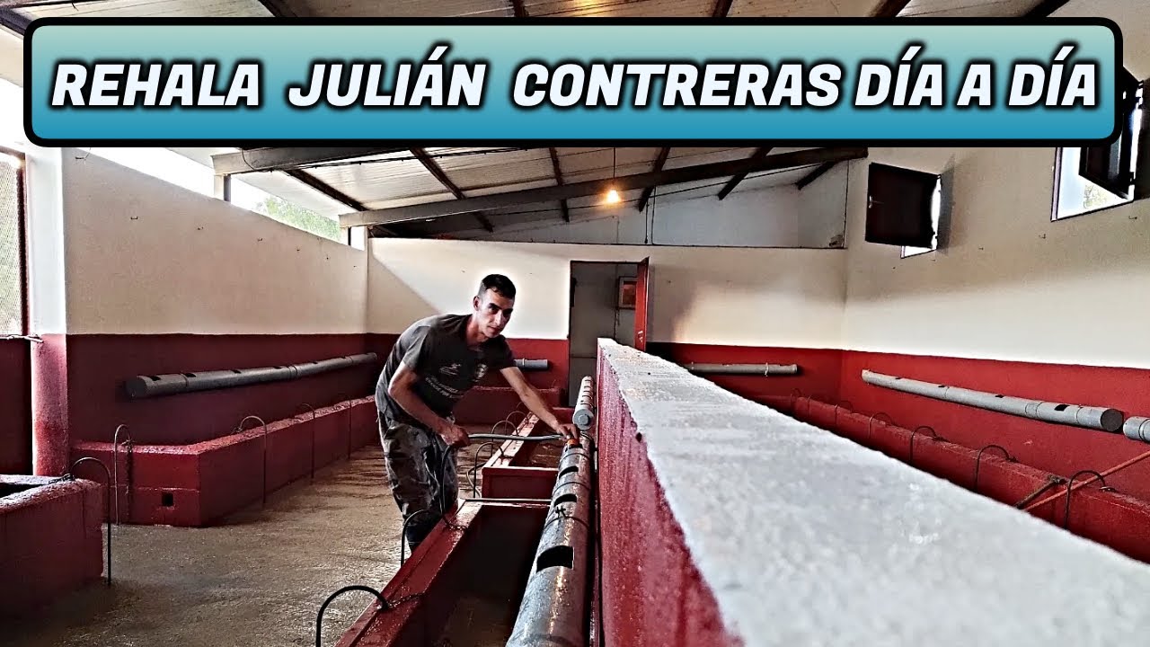 REHALA JULIÁN CONTRERAS 2022  DÍA A DÍA