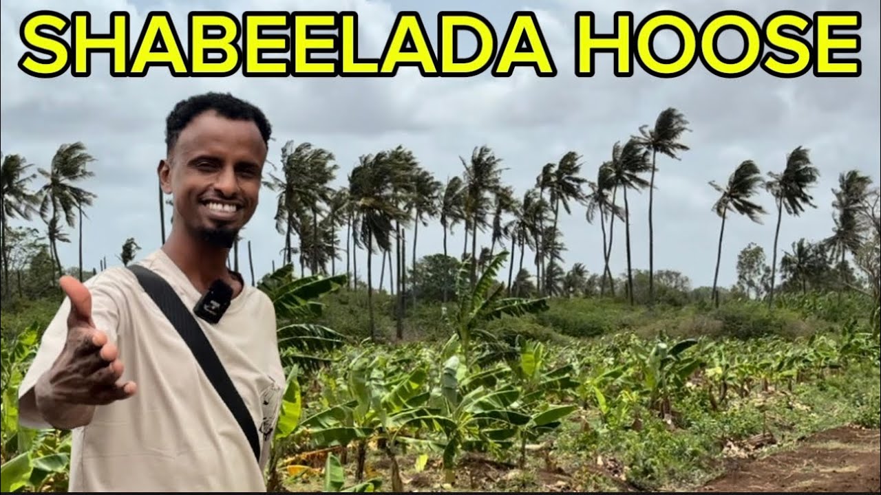 SHABEELLADA HOOSE TAG AMA SHIB DHEH