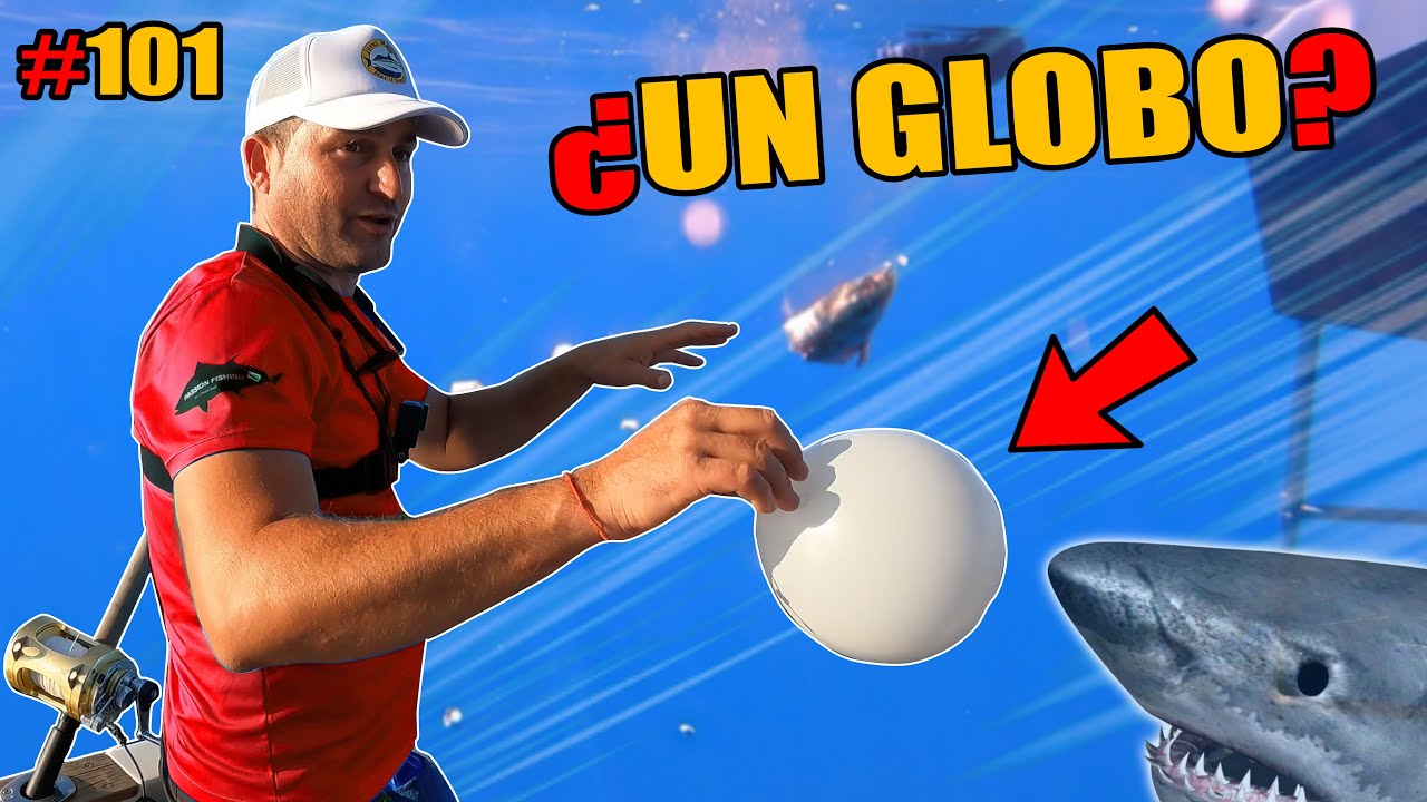 Aprendemos cómo pescar ATUNES A BRUMEO y vivimos una JORNADA INOLVIDABLE 😄🎣🦈 - Jurel Ramón 