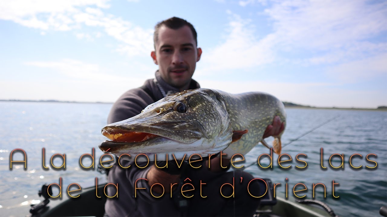 A la découverte des lacs de la Forêt d'Orient