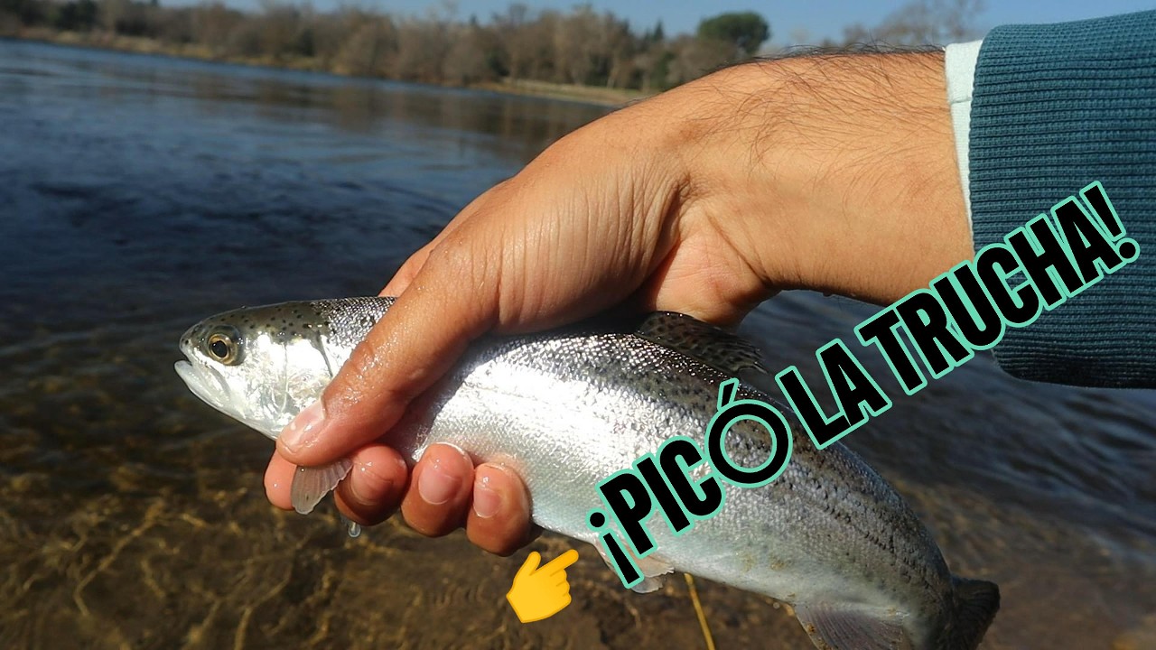 👉 No Esperaba Esta Trucha en el Río… 😱🎣