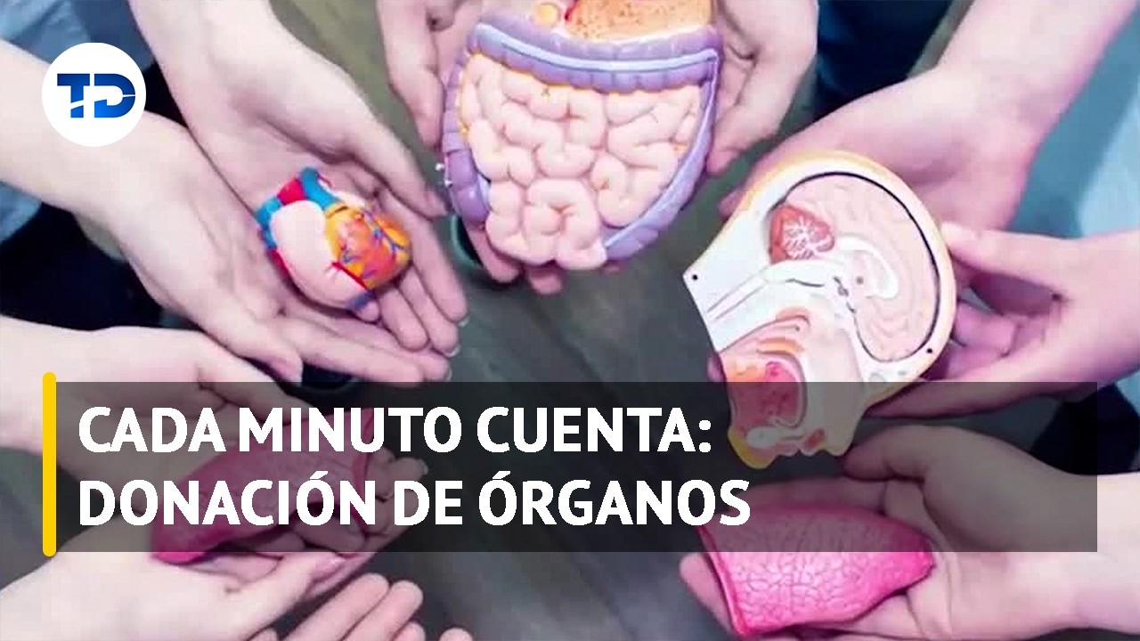 Donación de órganos podría ir en la cédula