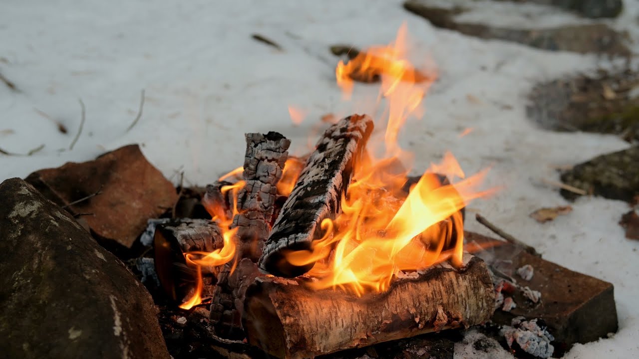 🔥 Calm Campfire | Cozy Natural Fire Sounds and Visuals
