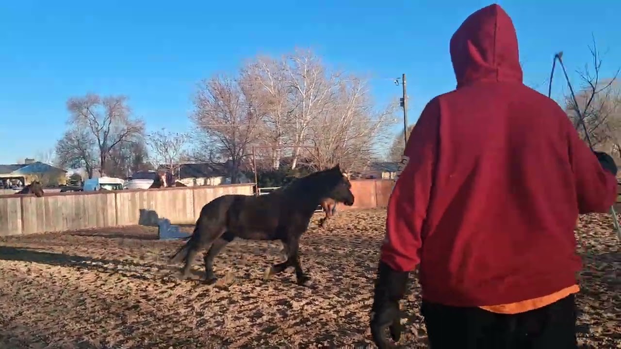 Sage & Raya & Destiny in the Arena 2/27/26