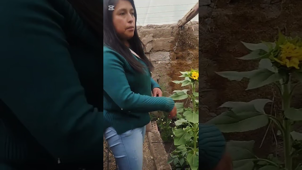 Visita a vivero Espinar 