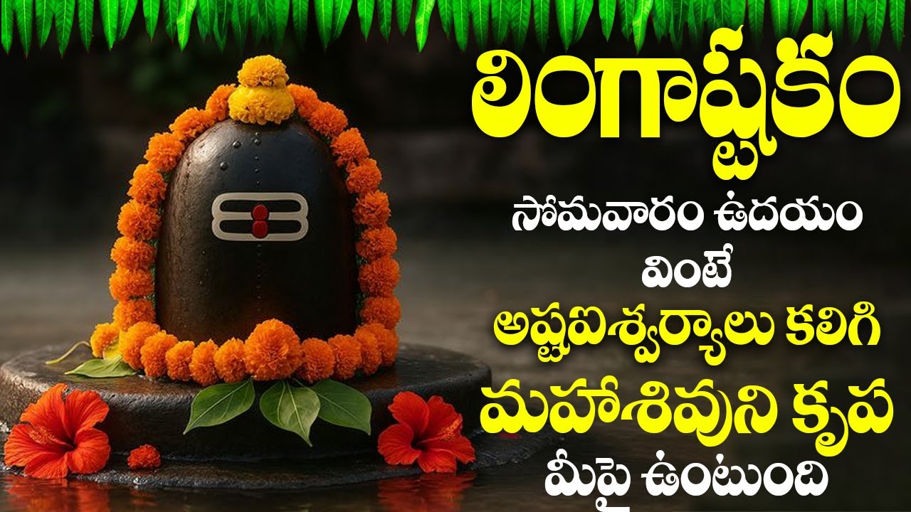 సోమవారం రోజు ఉదయాన్నే లింగాష్టకం విన్నారంటే రాత్రి లోపు శుభవార్త వింటారు   | Lordshivasongs | #shiva