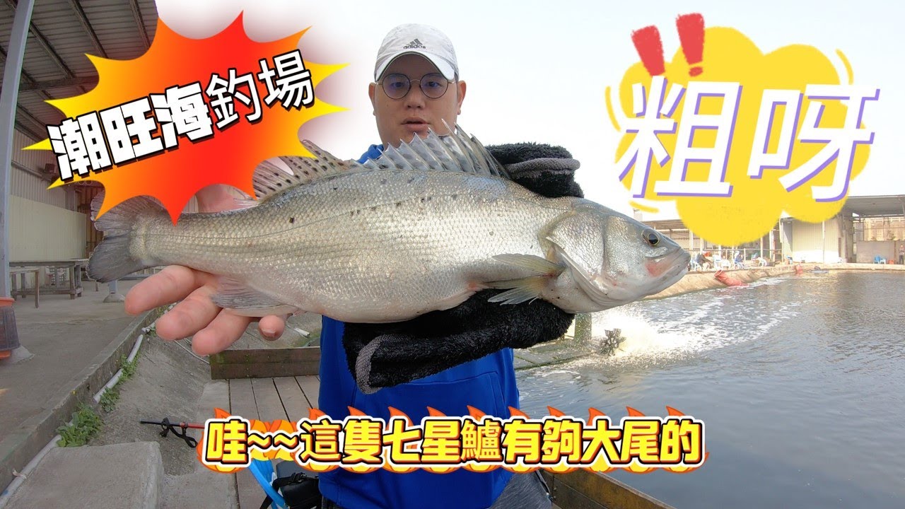 好久沒來位於 #八里 #潮旺海釣場 來釣魚啦，沒想到今天想用 #605瀨 手工前打竿來找加州鱸，竟然來了一尾超粗的七星鱸，拉力值報表呀。今天有抽獎活動唷，記得看到最後。 #智哥手作 #短標