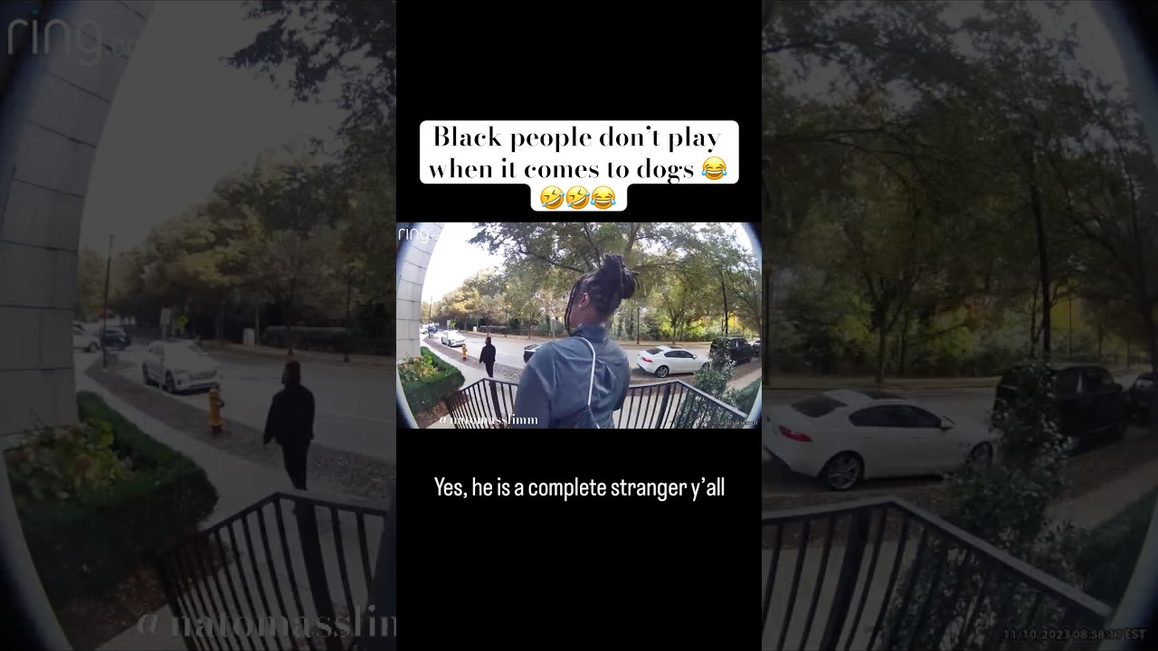 Black people don&rsquo;t play around with dogs 😂. They don&rsquo;t even know each other 🤣 #Laughs #Jokes #Dogs