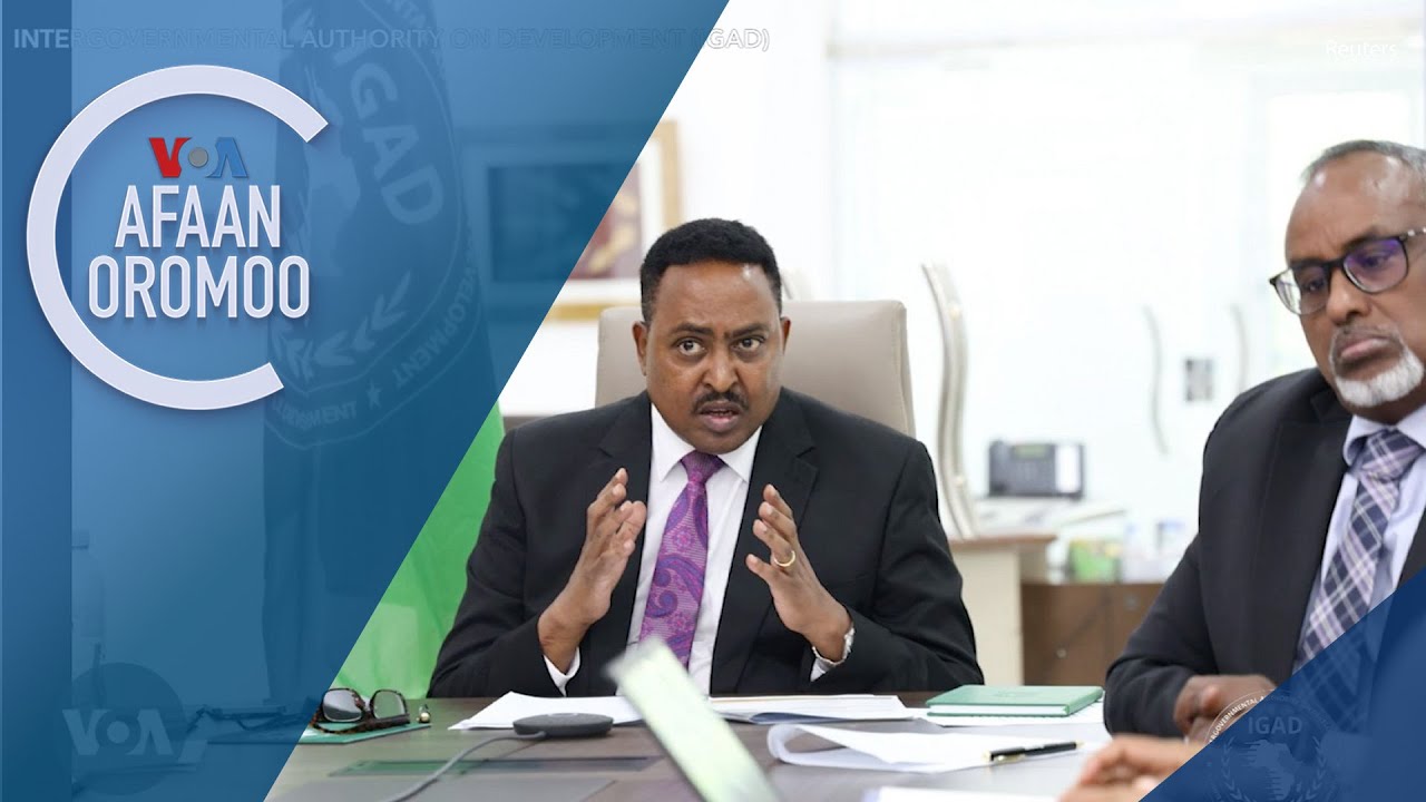 Tamsaasa Guyaadhaa Guyyaa