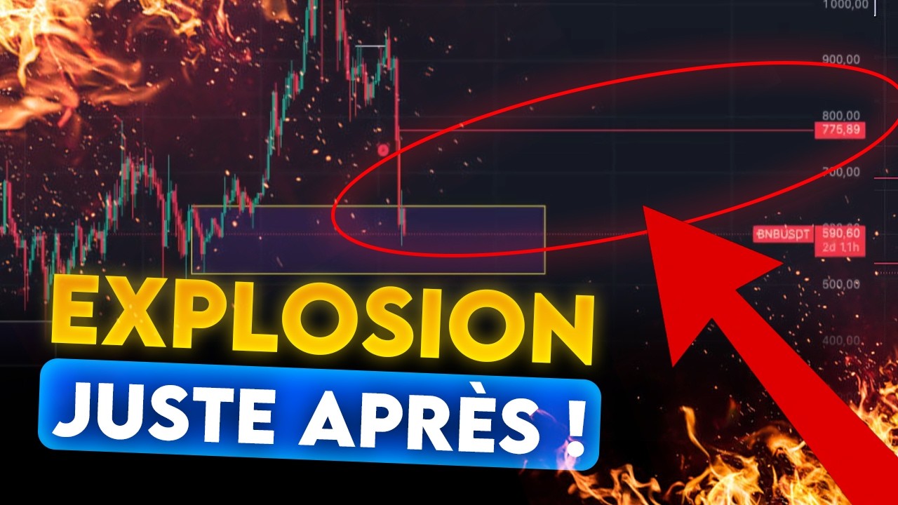 APRÈS LA CHUTE , VOICI LES GROS SIGNAUX DE HAUSSE !!
