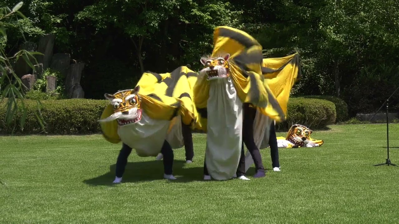 鵜住居虎舞（３日詩歌の森公演　北上みちのく芸能まつり）