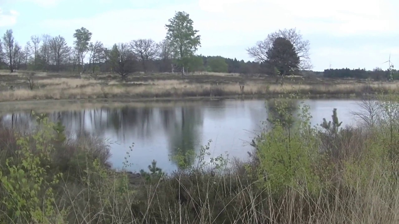 De Teut - Zonhoven