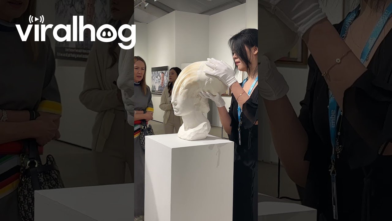 Mind-Bending Paper Sculptures || ViralHog