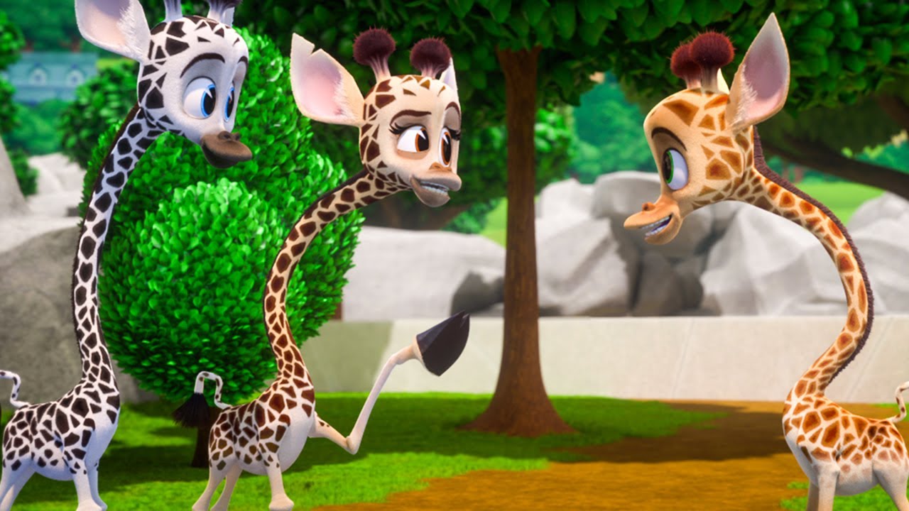 Melman and the Giraffe Herd 🦒 | Madagascar: A Little Wild | DreamWorks Madagascar