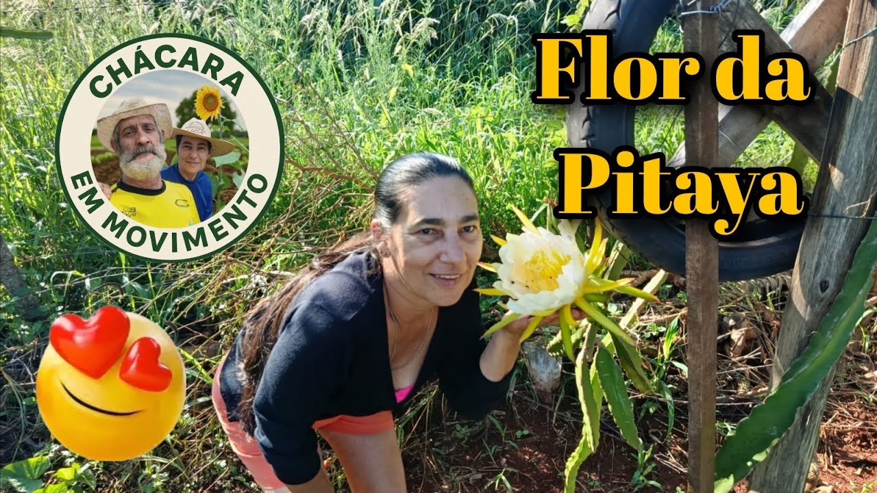 VIDA NA CHÁCARA NO SÁBADO 🌿 | ROTINA, PLANTAS E PLANTAÇÃO 