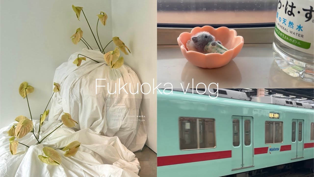 vlog）25歳、無職。大好きな福岡で過ごす1週間