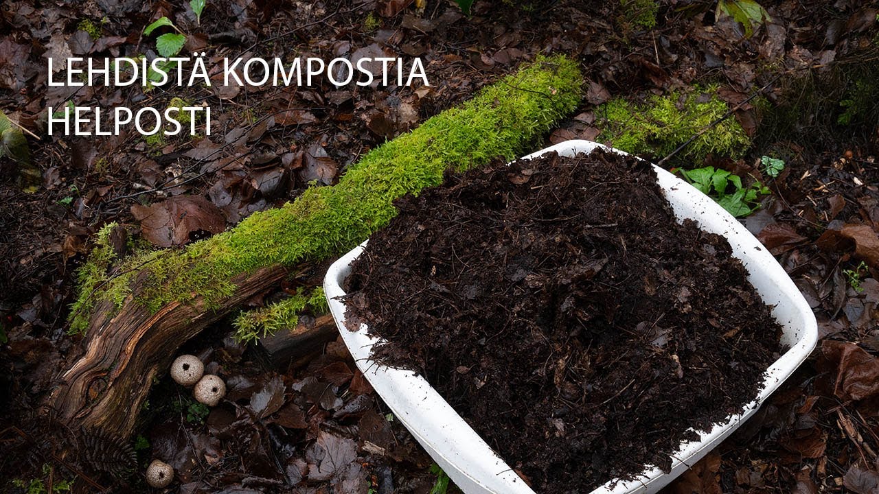Lehdistä kompostia helposti